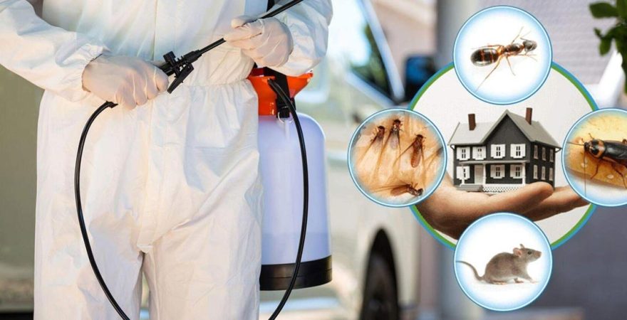 Ovacık Böcek İlaçlama