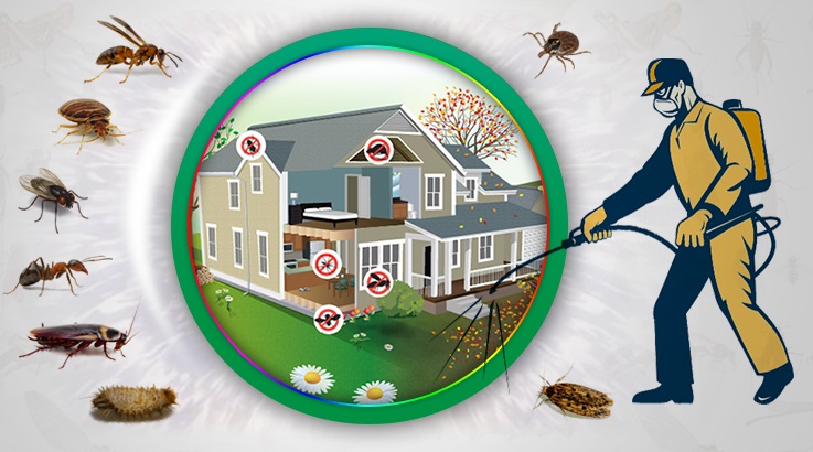 Ovacık Böcek İlaçlama