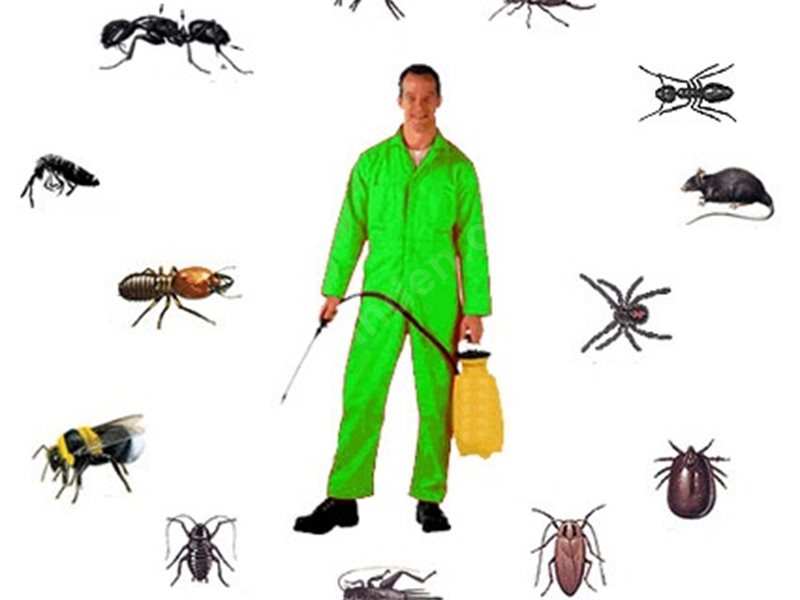 Ovacık Böcek İlaçlama